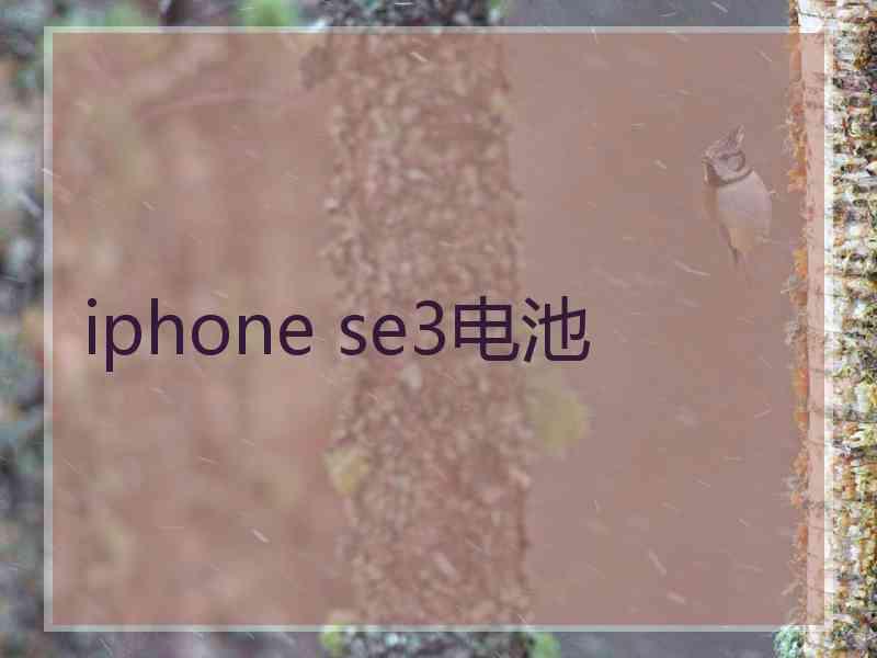 iphone se3电池