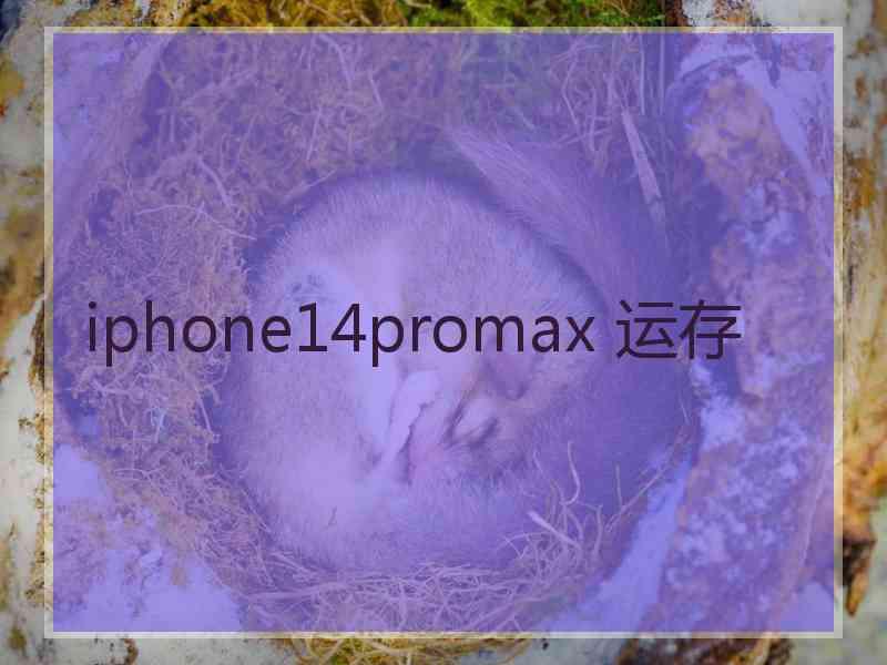 iphone14promax 运存