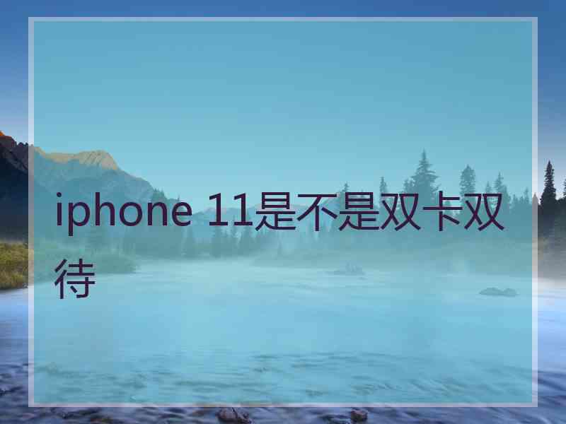 iphone 11是不是双卡双待