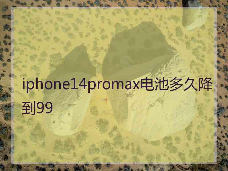 iphone14promax电池多久降到99