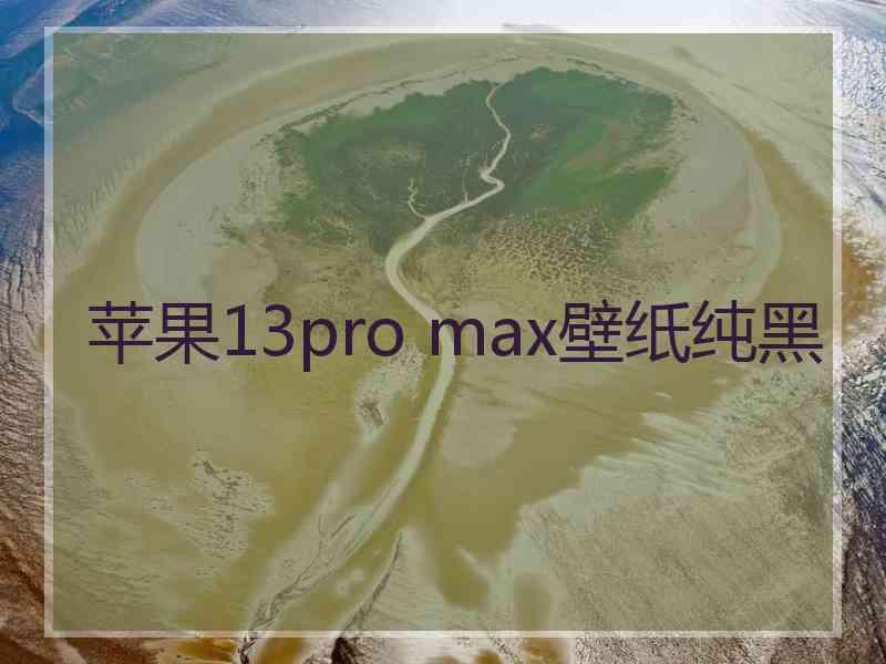 苹果13pro max壁纸纯黑