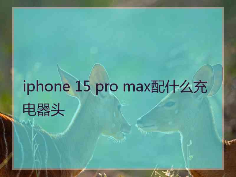 iphone 15 pro max配什么充电器头