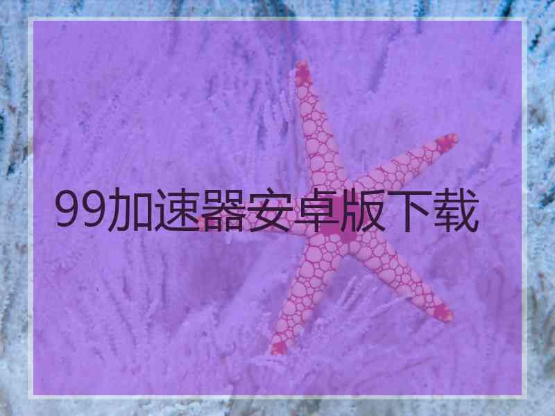 99加速器安卓版下载