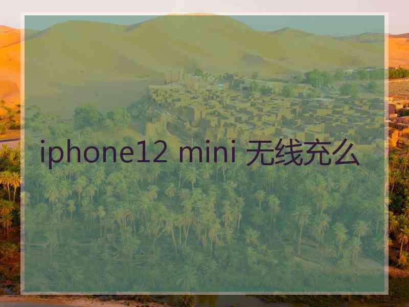 iphone12 mini 无线充么