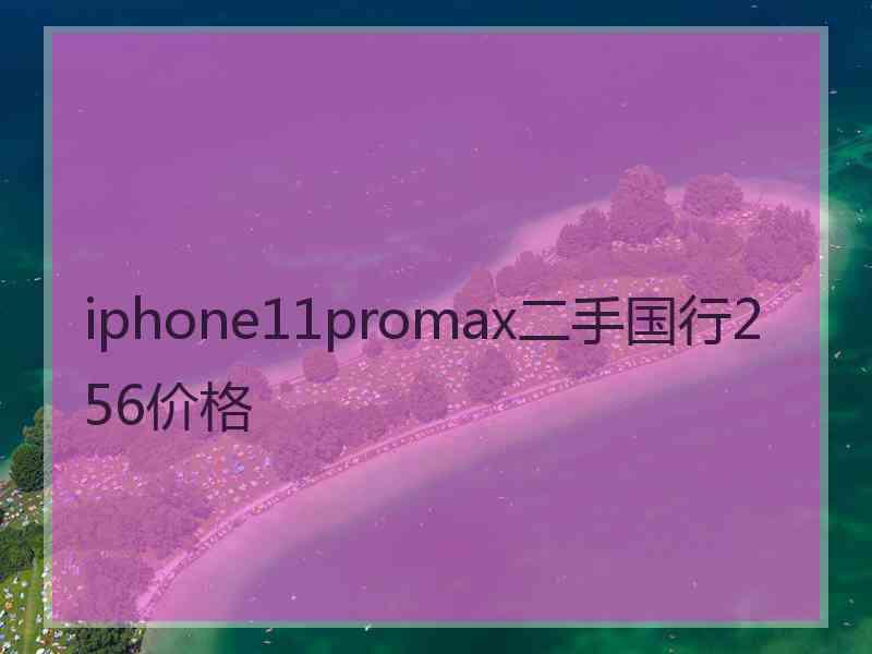 iphone11promax二手国行256价格