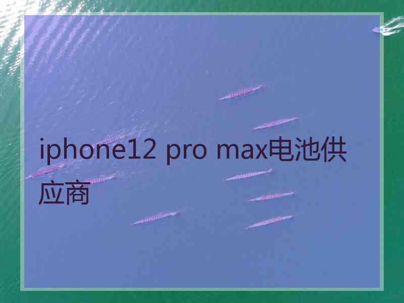 iphone12 pro max电池供应商