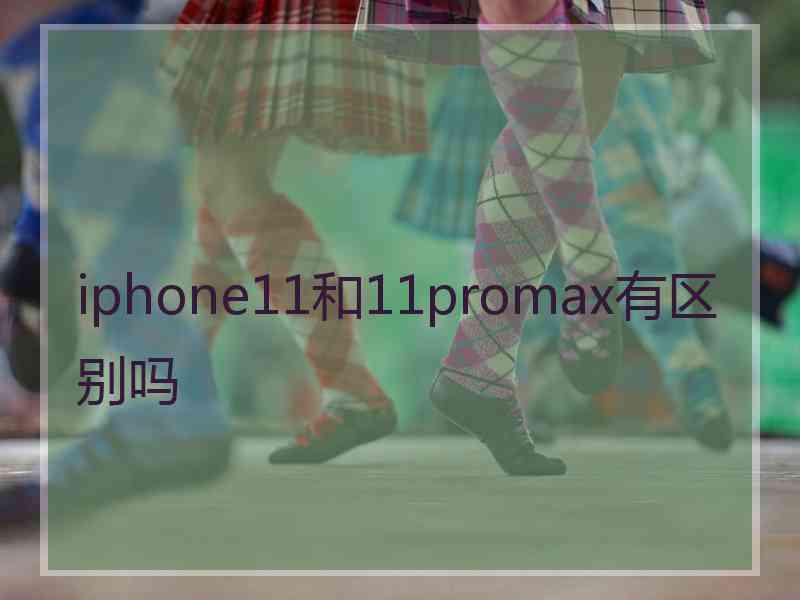 iphone11和11promax有区别吗