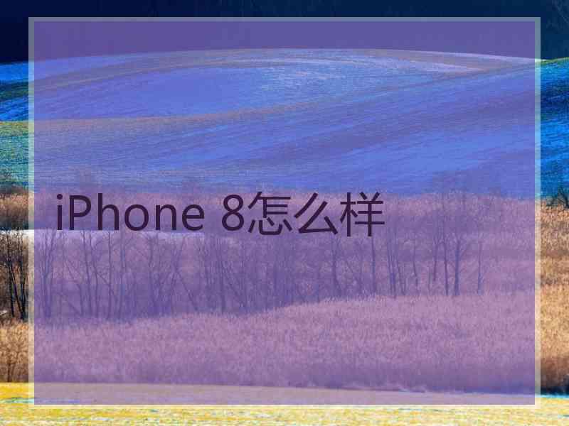 iPhone 8怎么样