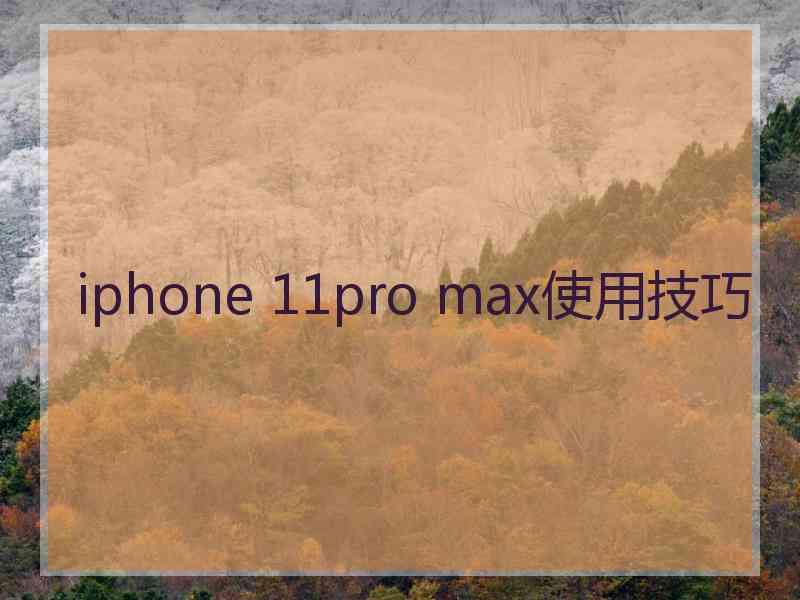 iphone 11pro max使用技巧