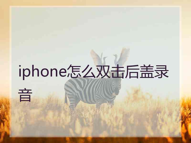 iphone怎么双击后盖录音