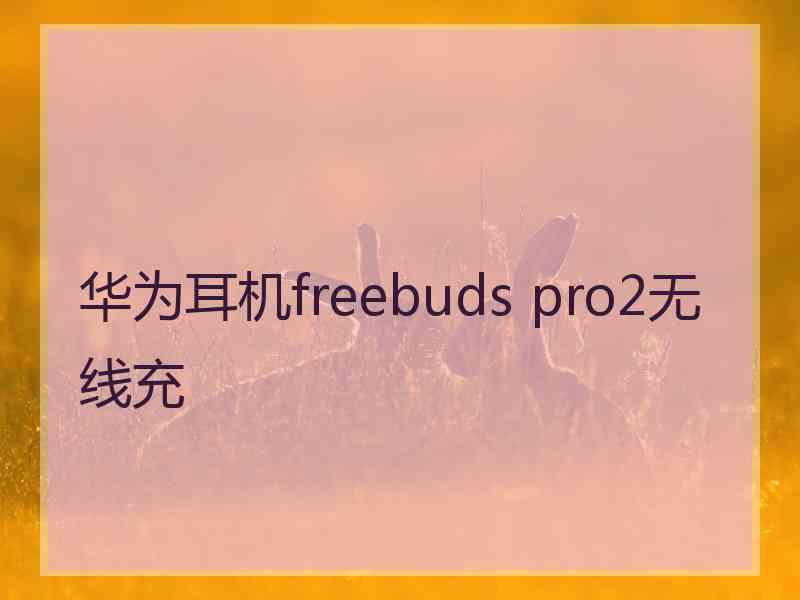 华为耳机freebuds pro2无线充