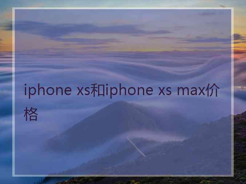 iphone xs和iphone xs max价格