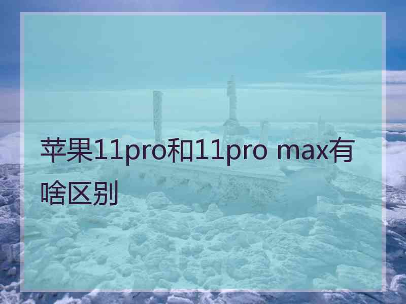 苹果11pro和11pro max有啥区别