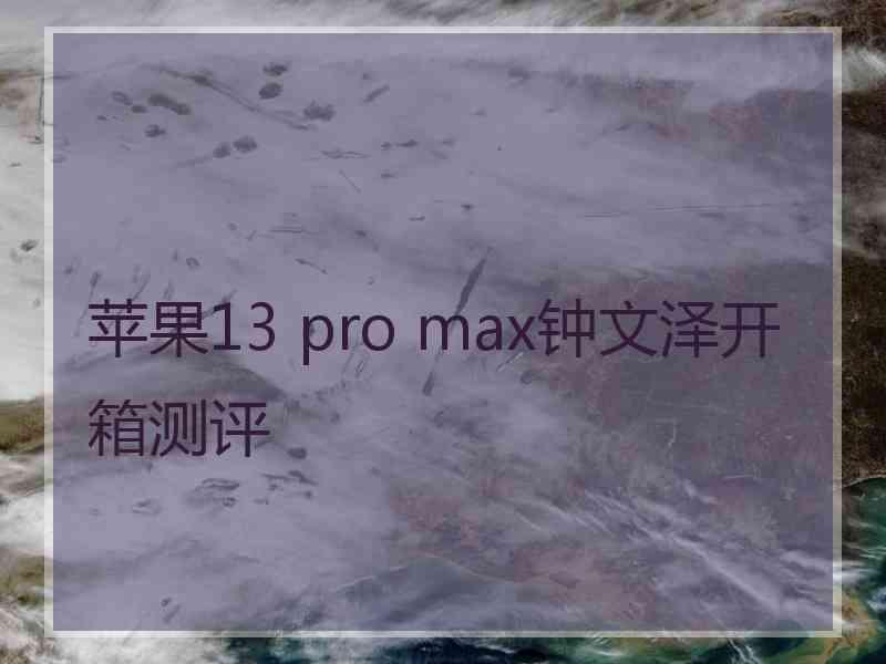 苹果13 pro max钟文泽开箱测评