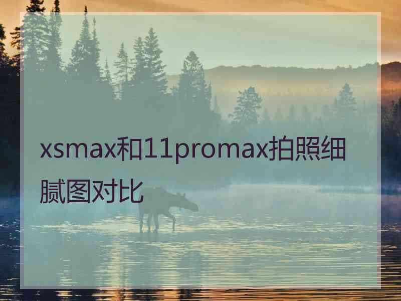 xsmax和11promax拍照细腻图对比