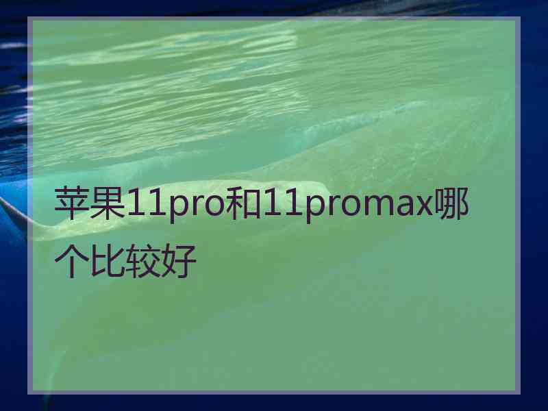 苹果11pro和11promax哪个比较好