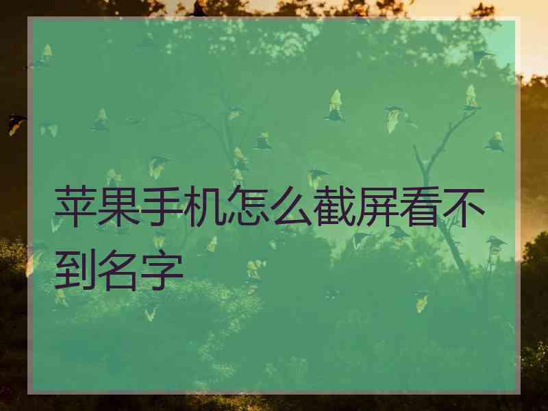 苹果手机怎么截屏看不到名字