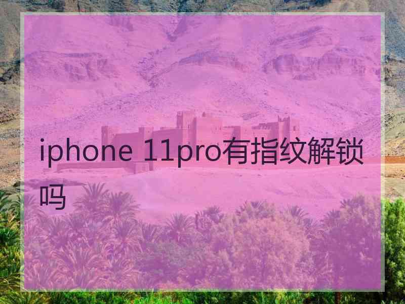 iphone 11pro有指纹解锁吗