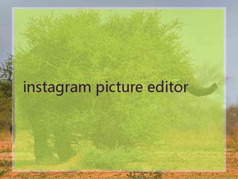 instagram picture editor