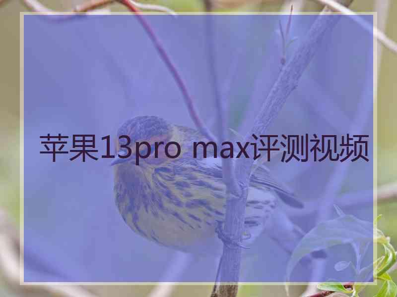 苹果13pro max评测视频