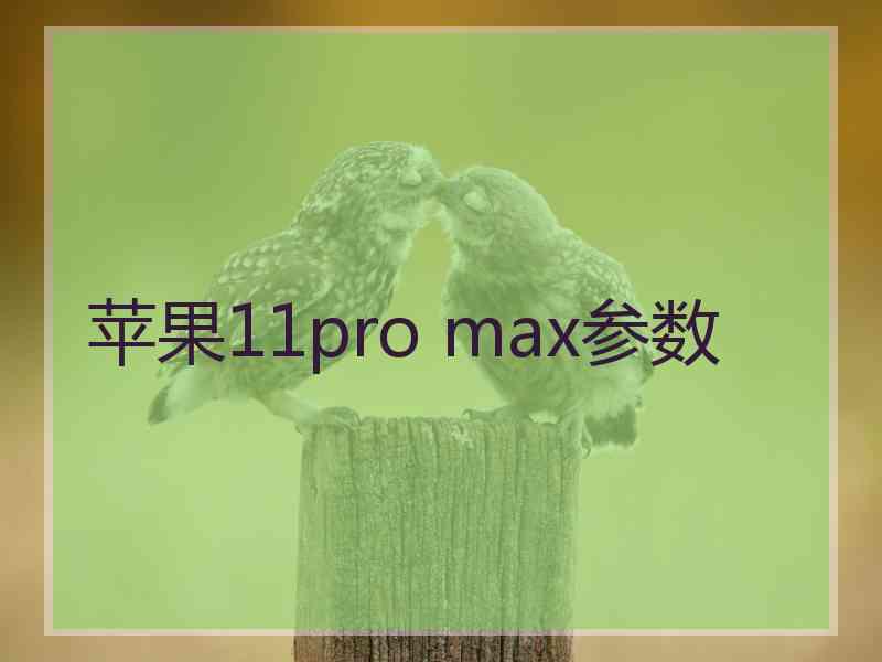 苹果11pro max参数