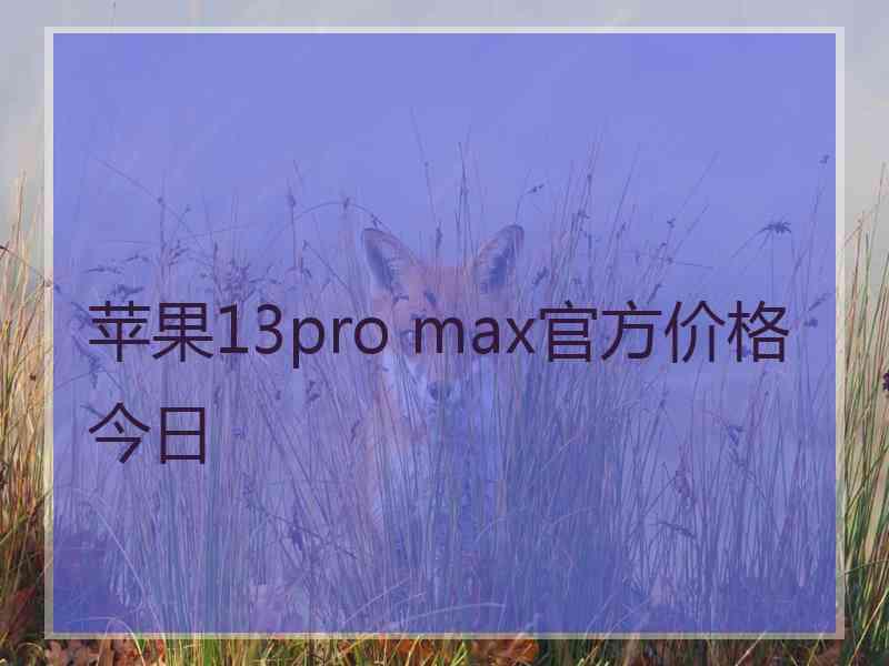 苹果13pro max官方价格今日