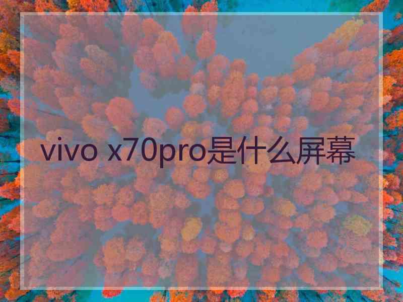 vivo x70pro是什么屏幕