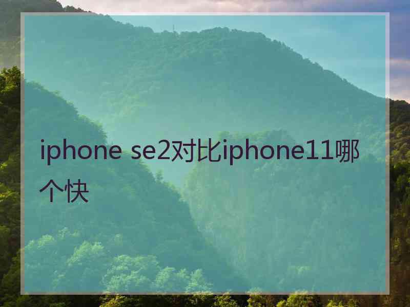 iphone se2对比iphone11哪个快