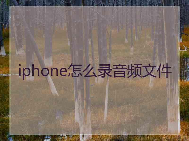 iphone怎么录音频文件