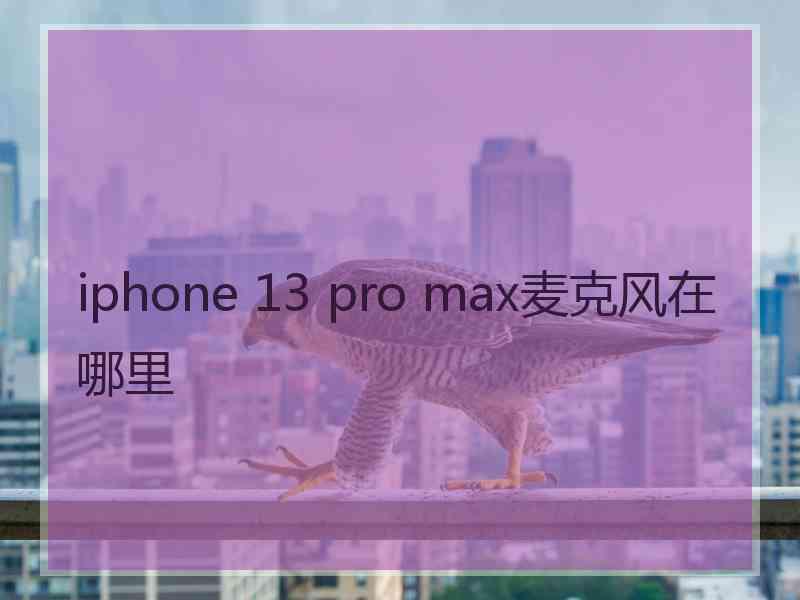 iphone 13 pro max麦克风在哪里