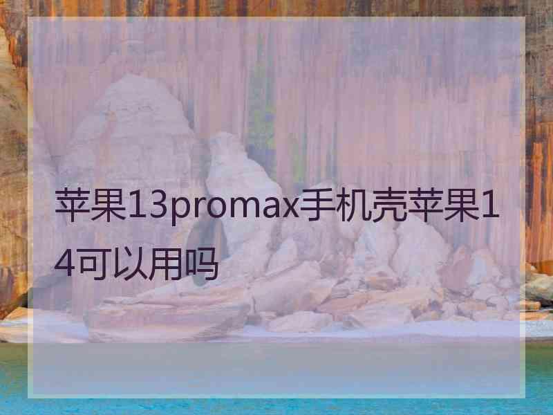 苹果13promax手机壳苹果14可以用吗