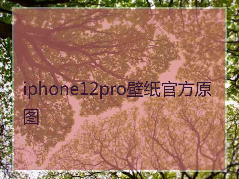 iphone12pro壁纸官方原图