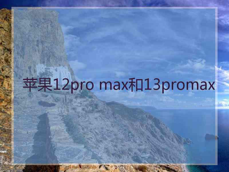 苹果12pro max和13promax 