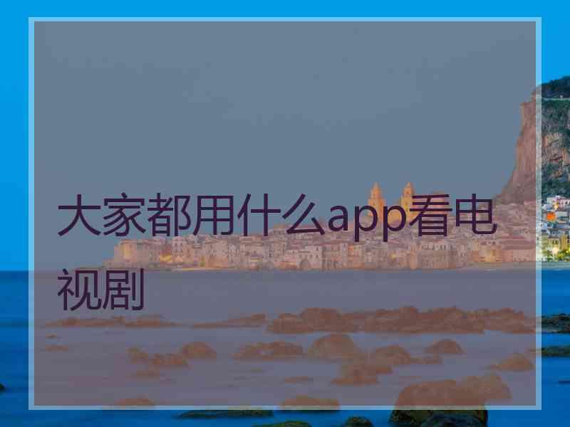 大家都用什么app看电视剧