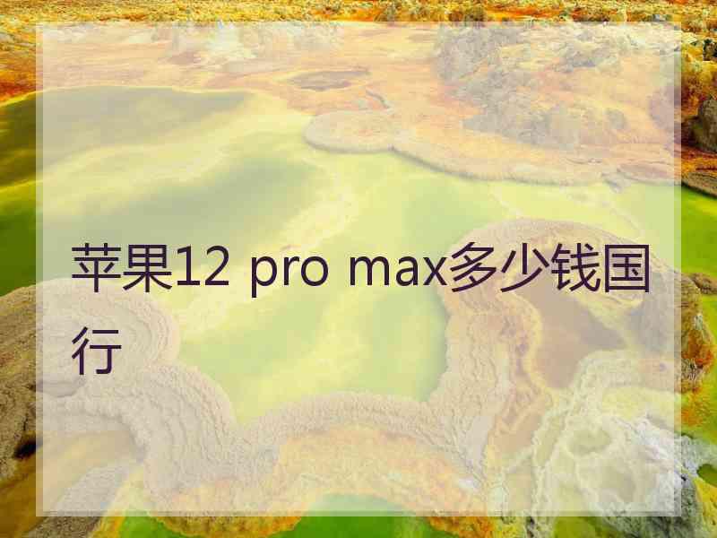 苹果12 pro max多少钱国行