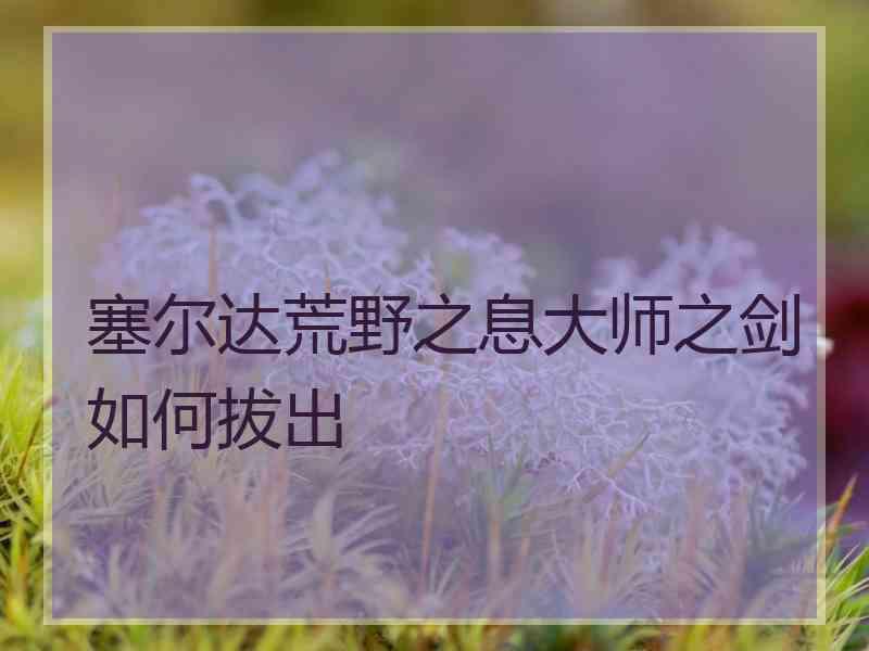 塞尔达荒野之息大师之剑如何拔出