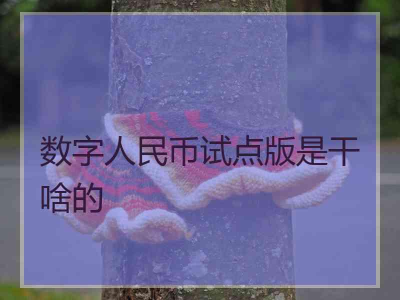 数字人民币试点版是干啥的