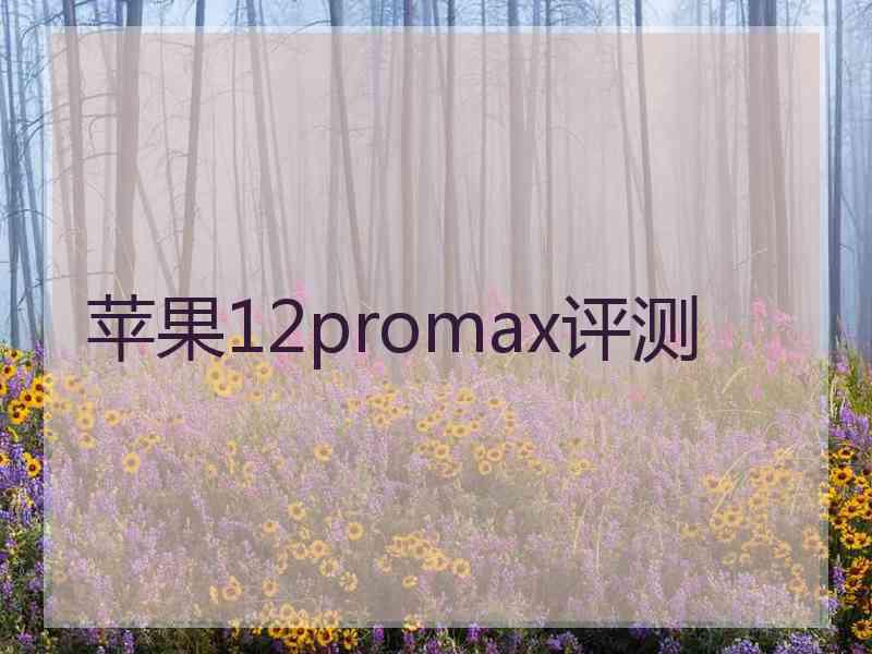 苹果12promax评测