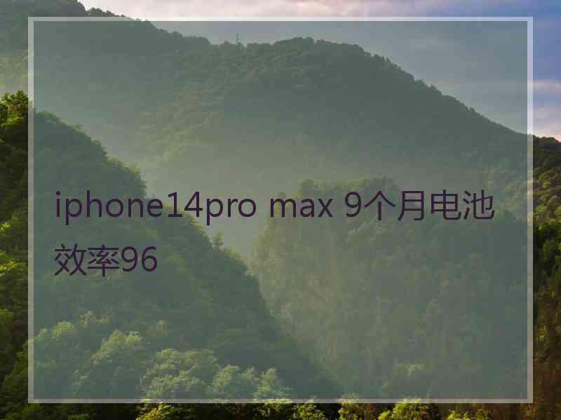 iphone14pro max 9个月电池效率96