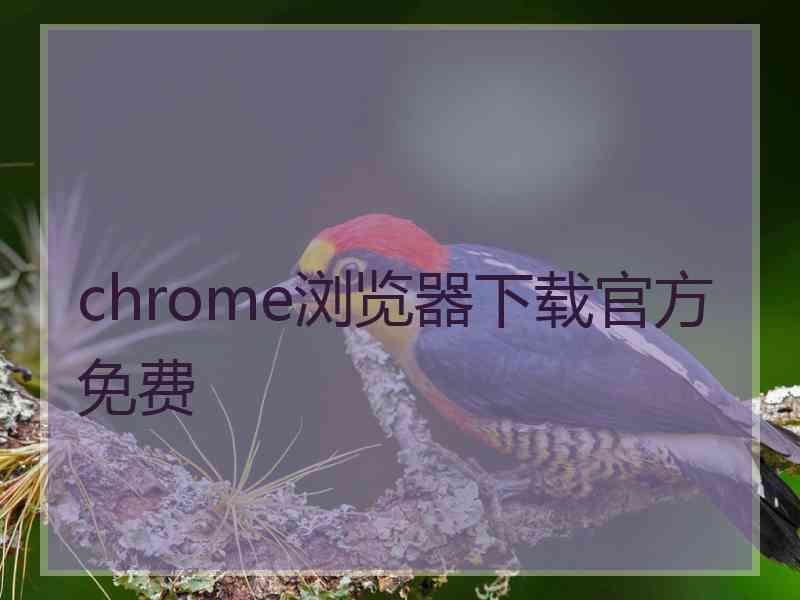 chrome浏览器下载官方免费