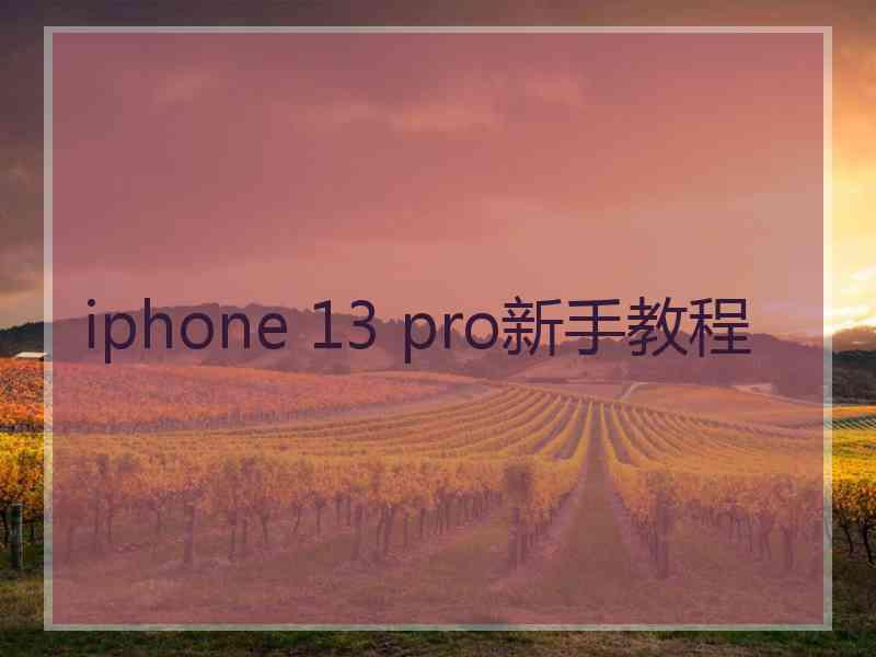 iphone 13 pro新手教程