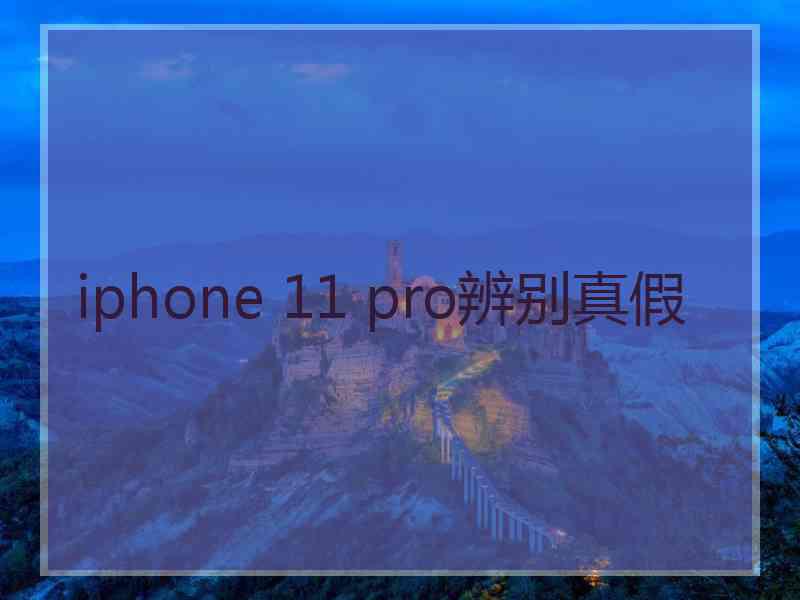 iphone 11 pro辨别真假