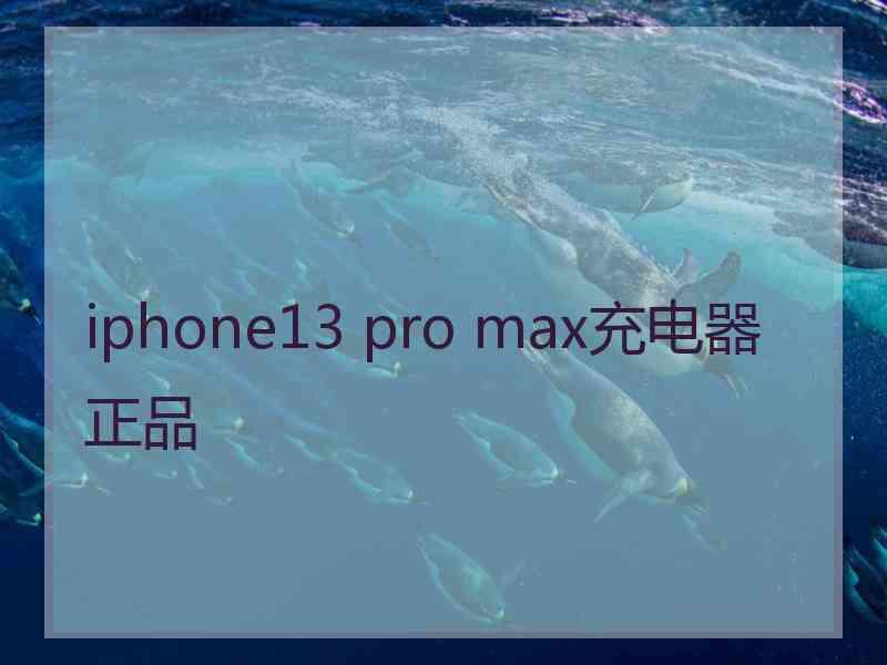 iphone13 pro max充电器正品