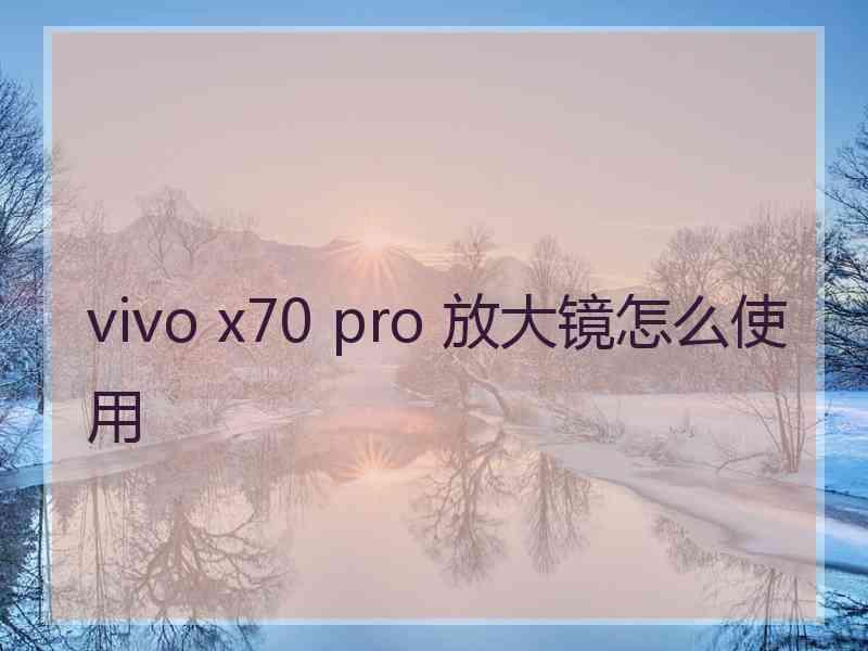 vivo x70 pro 放大镜怎么使用