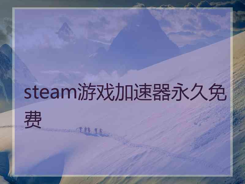 steam游戏加速器永久免费