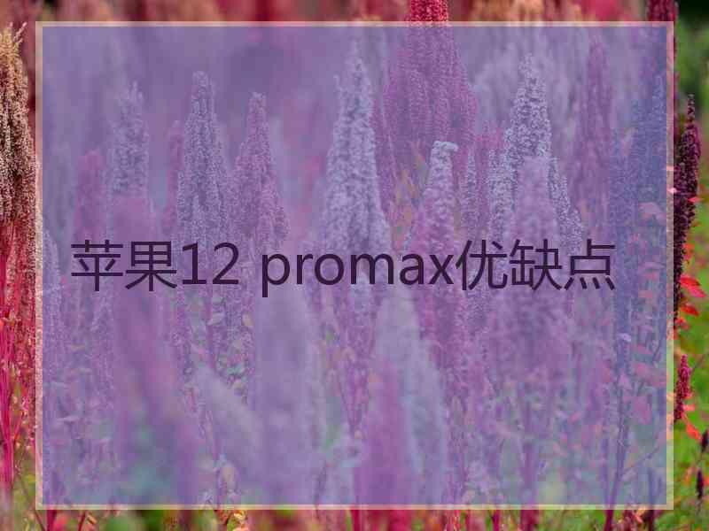 苹果12 promax优缺点