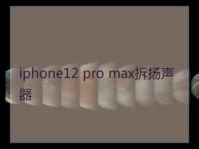 iphone12 pro max拆扬声器