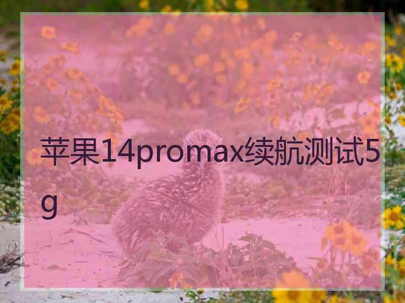 苹果14promax续航测试5g