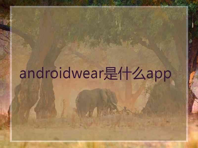 androidwear是什么app