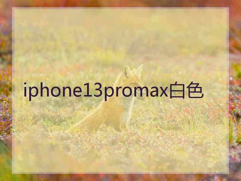 iphone13promax白色